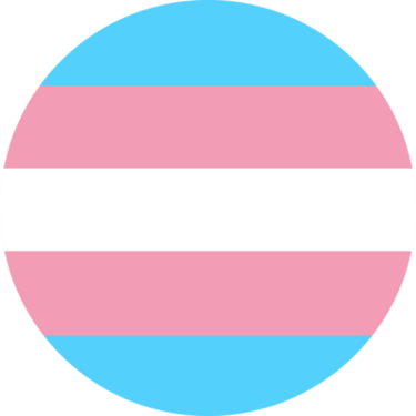 Trans LGBTQ+ flag safe salon