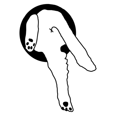 cat bum and legs climbing through hole