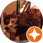 Fort Worth Pressure washing client who has a profile pic of an orange tabby kitty 