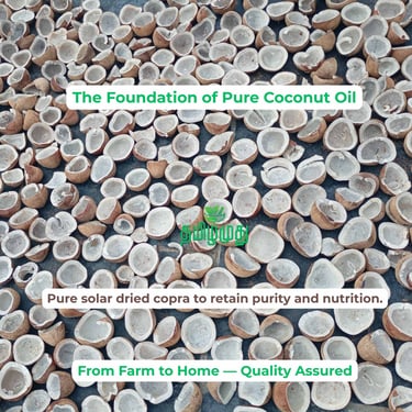 Tamilamuthu Pure Solar Dried Copra from pollachi