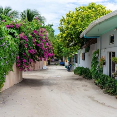 a dirt road with a bunch of flowers on the side of the road