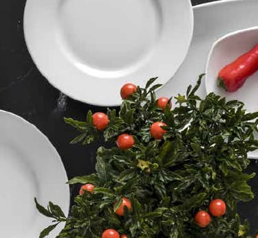 Güral Porselen Otel Serisi: "Güral Porselen dayanıklı otel serisi düz servis tabağı - Endüstriyel mutfak ekipmanları"