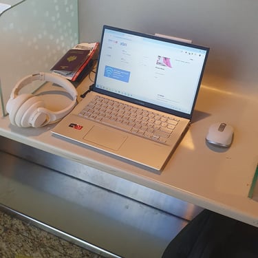 William Coste working