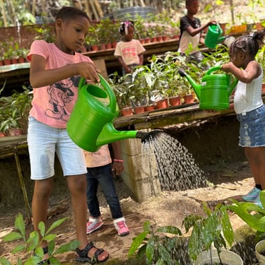 Children at the nursery