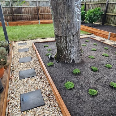 Landscaping feedback