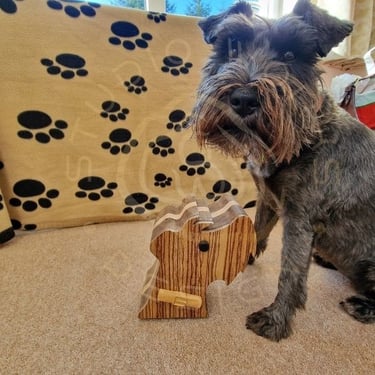 Our beautiful Schnauzer posing next to a look-alike bandsaw box
