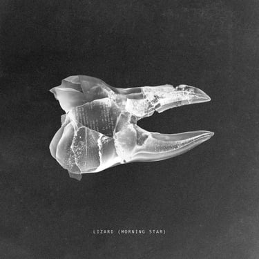 Melt Motif + Processor - Lizard (Morning Star)