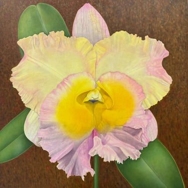 Confetti Cattleya