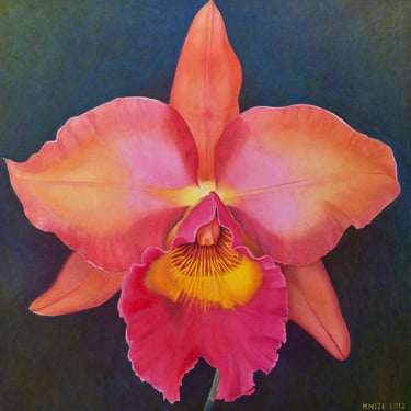 Coral Cattleya