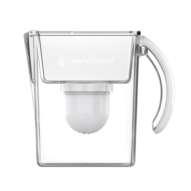 Water filter