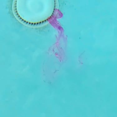 dye being pulled into main drain of pool during a leak detection