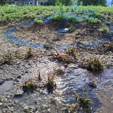 leak marked in blue paint in field with water visible