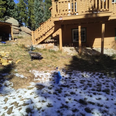 mountain house with a blue flag and blue paint in the yard marking a leak