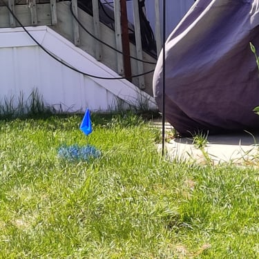 blue flag and paint marking the location of a leak in Denver Colorado
