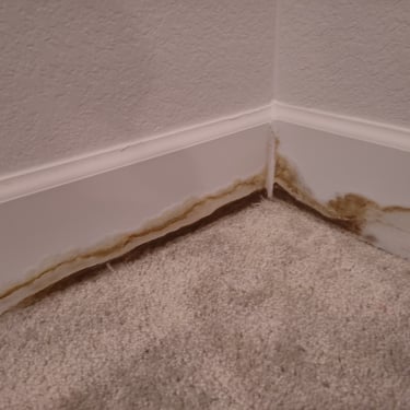 water damaged floor trim over carpet