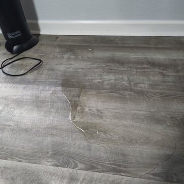 water leaking onto a wood floor from the wall