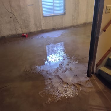 basement flood with mud coming in through the leak