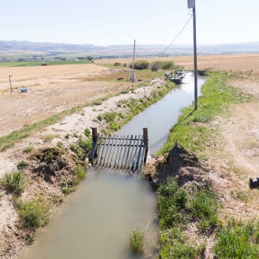 Irrigation canal in a rural setting.