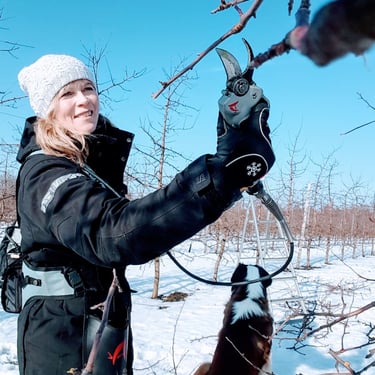 Ille Kasvand. Kogenud Aianõunik. Tüvekeskne lõikusviis. Rohkem saaki mugavalt ja madalalt.