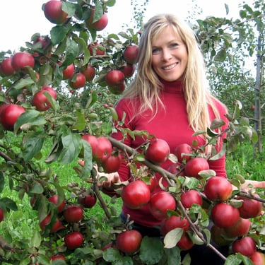 Ille Kasvand Õunapuude lõikaja, Aianõunik.com