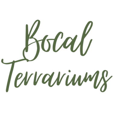 Logo Bocal Terrarium à Clermont-Ferrand