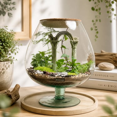 Terrarium antique Bocal terrarium