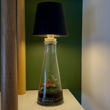 Terrarium Lampe Bocal terrarium