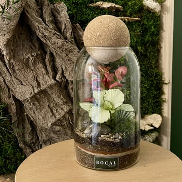 Terrarium rose et blanc Bocal terrarium