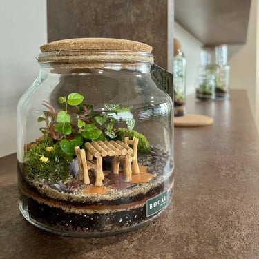 Terrarium Terrasse Bocal terrarium