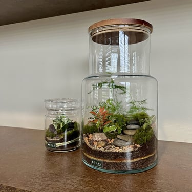 Terrariums uniques réalisés par bocal terrarium