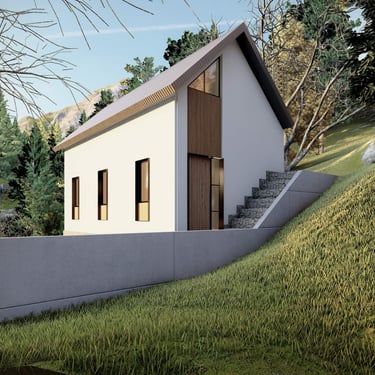 Proiect reconversie functionala