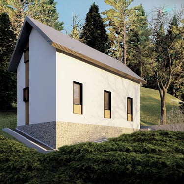 Proiect reconversie functionala