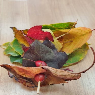 concentración, paciencia, calma, creatividad, planificación Espacio Mare Cognitum León