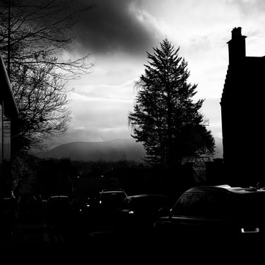 A tree and building silhouetted against a rainy looking sky on Morningside Road, Edinburgh