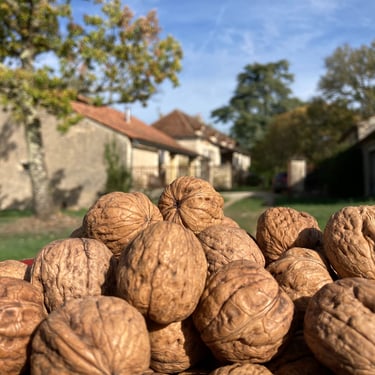 Biscuiterie de l'Apothicaire, Concots (Lot)