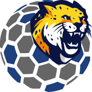 oncilla geoparsers logo