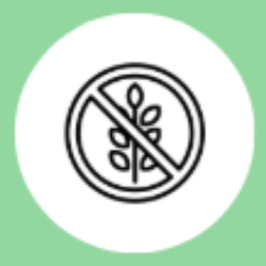 food intolerances diet plan