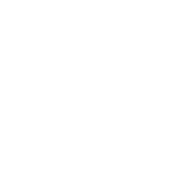 Holionix chat bot support