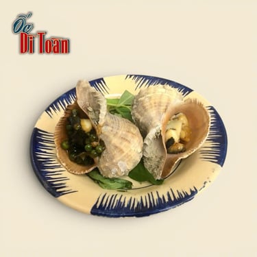 Ốc miệng rộng tại Ốc Dì Toàn - Top 1 quán ốc ngon Bình Thạnh & Gò Vấp