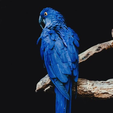 Conciergerie Airbnb 100 %Digitale - Valence