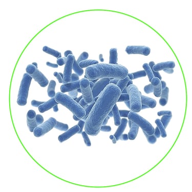 Legionella