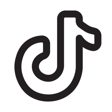 tiktok icon