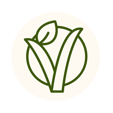 Plat végétarien de notre brasserie vue mer à saint-malo