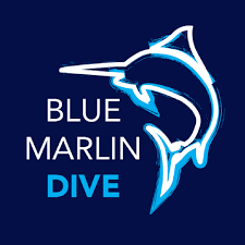 klien sinar inti telekomunikasi blue marlin komodo labuan bajo