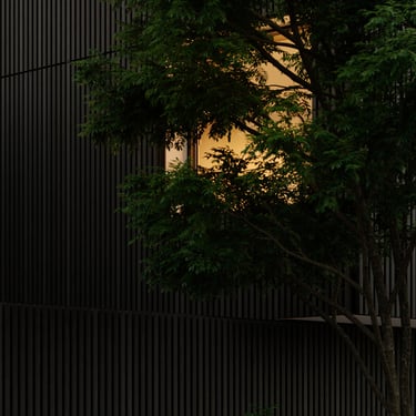 3D rendering of modern building facade with vertical black slats, warmly lit window, and partially hidden tree.