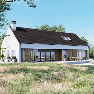 3D modern house visualization with white exterior, wood accents, and glass doors in sunny setting.