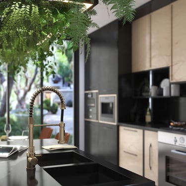 Modern kitchen with metallic spring faucet, black countertop, hanging green plants, light wood cabinets, and large windows.