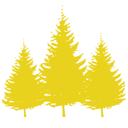 nature parc arbres bucolique