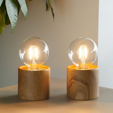 two light bulbs on a table with a plant in the background