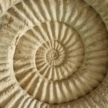 Focusing attention inwards